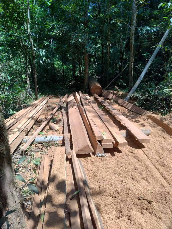 20.01.2025 - Fiscalização e proteção territorial na Terra Indígena Mawetek - Foto Divulgação Funai (6).jpeg