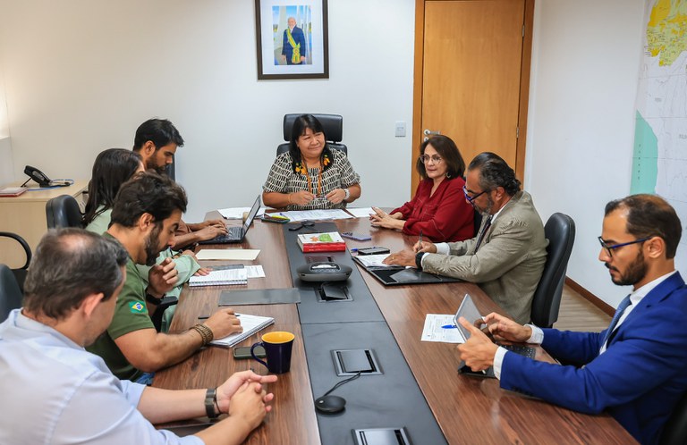 1 - Reunião com Senadora Damares @ Mário Vilela_FUNAI.jpg