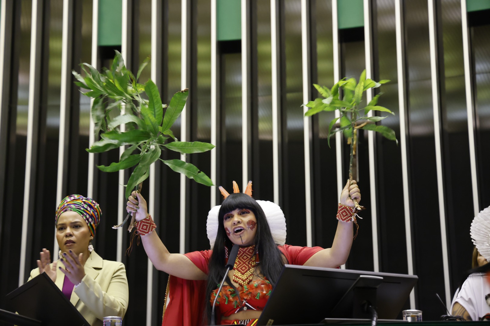 07.08.25 - Sessão Solene na Câmara - IV Marcha de Mulheres Indígenas - Foto Mayra Wapichana  (1).JPG