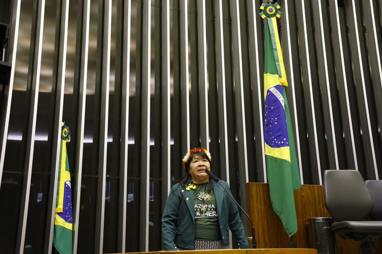 07.08.25 - Sessão Solene na Câmara - IV Marcha de Mulheres Indígenas - Foto Mayra Wapichana  (10).JPG