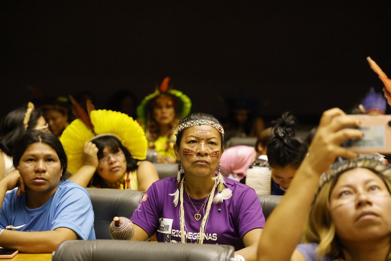 07.08.25 - Sessão Solene na Câmara - IV Marcha de Mulheres Indígenas - Foto Mayra Wapichana  (13).JPG