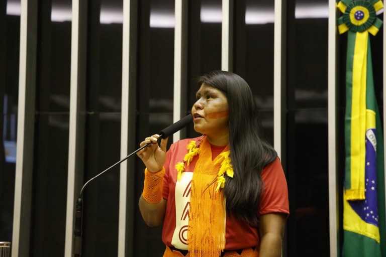 07.08.25 - Sessão Solene na Câmara - IV Marcha de Mulheres Indígenas - Foto Mayra Wapichana  (17).JPG