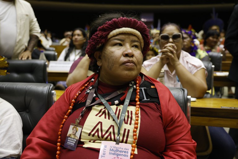07.08.25 - Sessão Solene na Câmara - IV Marcha de Mulheres Indígenas - Foto Mayra Wapichana  (2).JPG