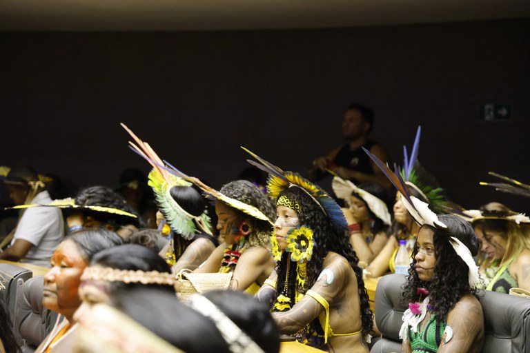 07.08.25 - Sessão Solene na Câmara - IV Marcha de Mulheres Indígenas - Foto Mayra Wapichana  (3).JPG