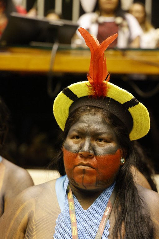 07.08.25 - Sessão Solene na Câmara - IV Marcha de Mulheres Indígenas - Foto Mayra Wapichana  (4).JPG