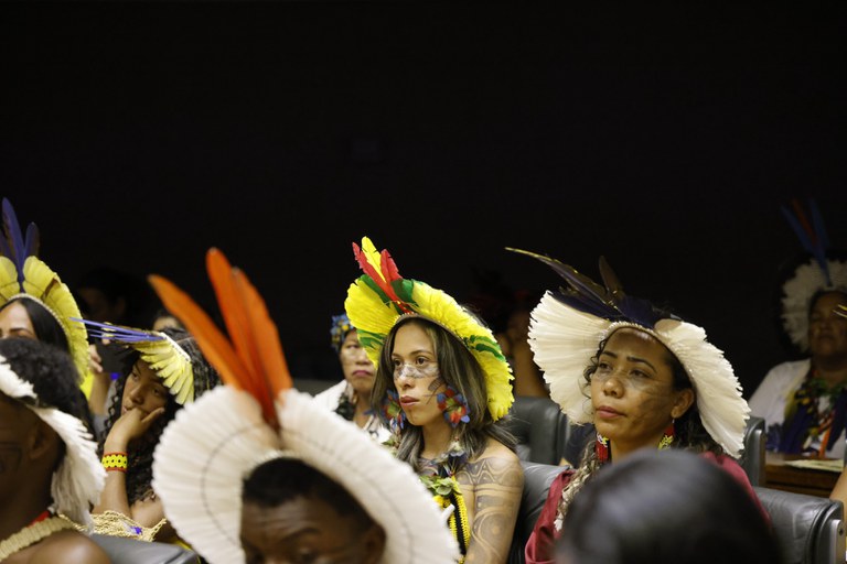 07.08.25 - Sessão Solene na Câmara - IV Marcha de Mulheres Indígenas - Foto Mayra Wapichana  (7).JPG