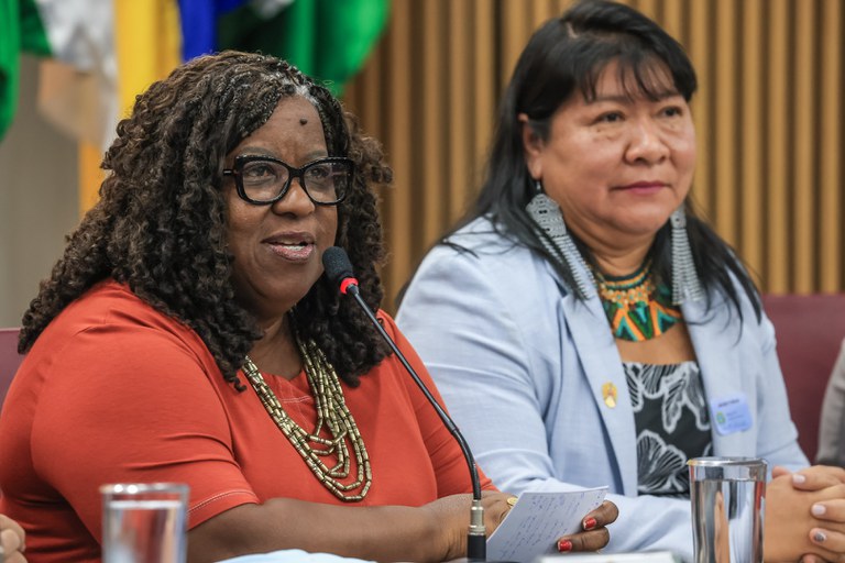 Caminhos para Equidade Étnicos-Raciais @ Mário Vilela_FUNAI (11).jpg