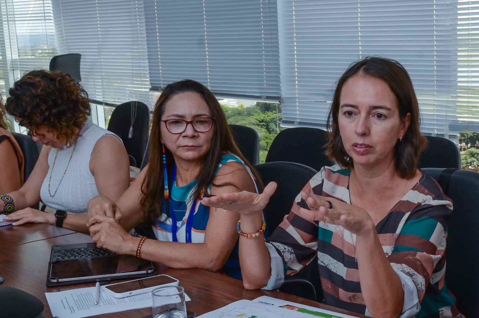 Reunião  BNDES, FUNAI, MPI e MMA @ Mário Vilela_FUNAI-14.jpg