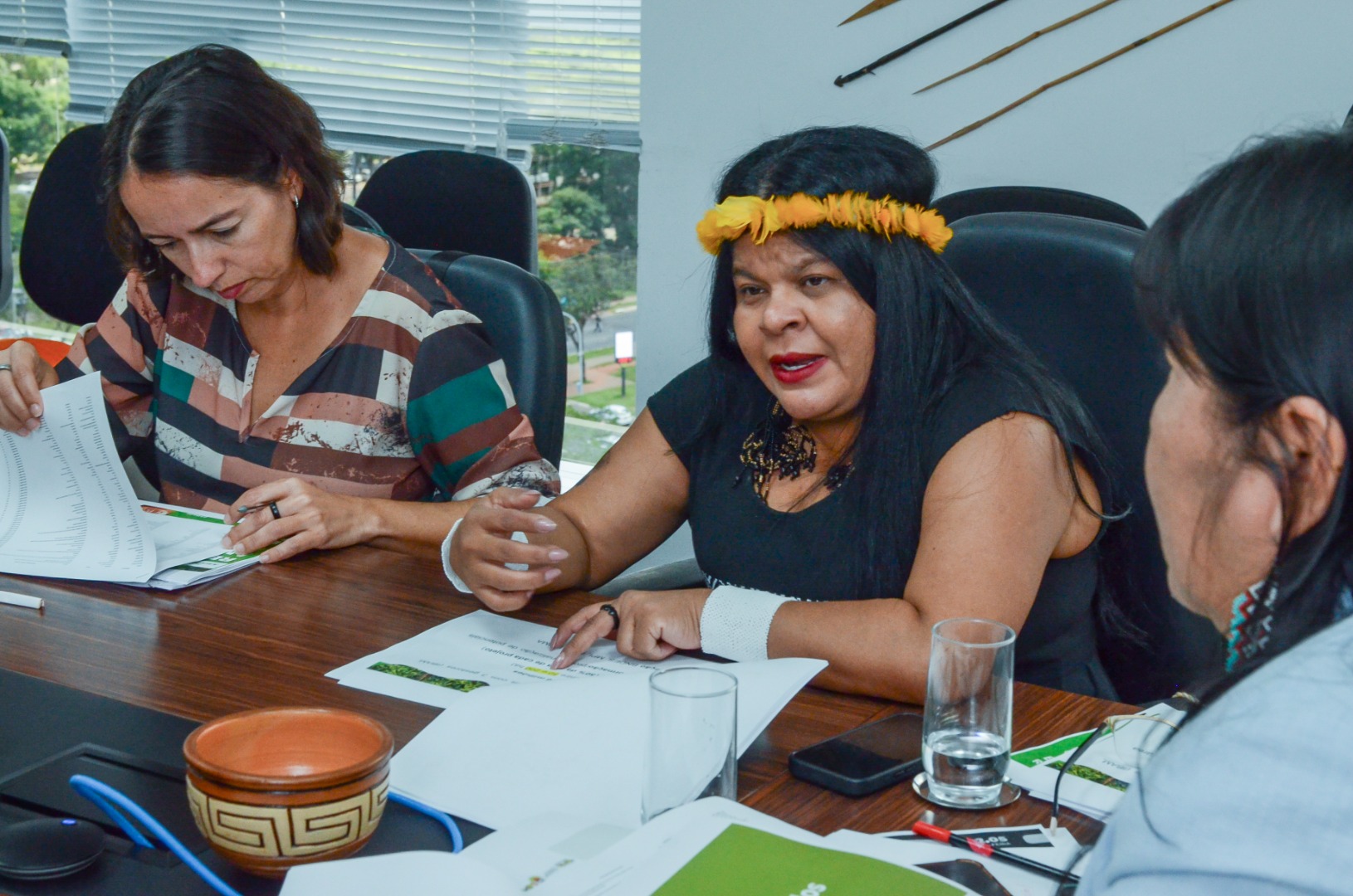 Reunião  BNDES, FUNAI, MPI e MMA @ Mário Vilela_FUNAI-16.jpg