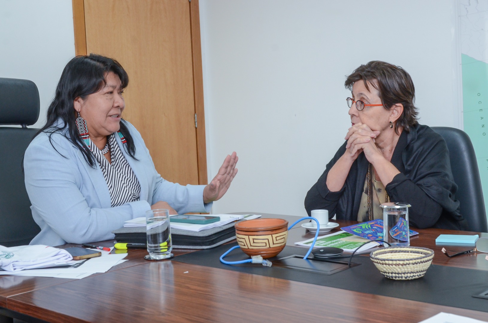 Reunião  BNDES, FUNAI, MPI e MMA @ Mário Vilela_FUNAI.jpg