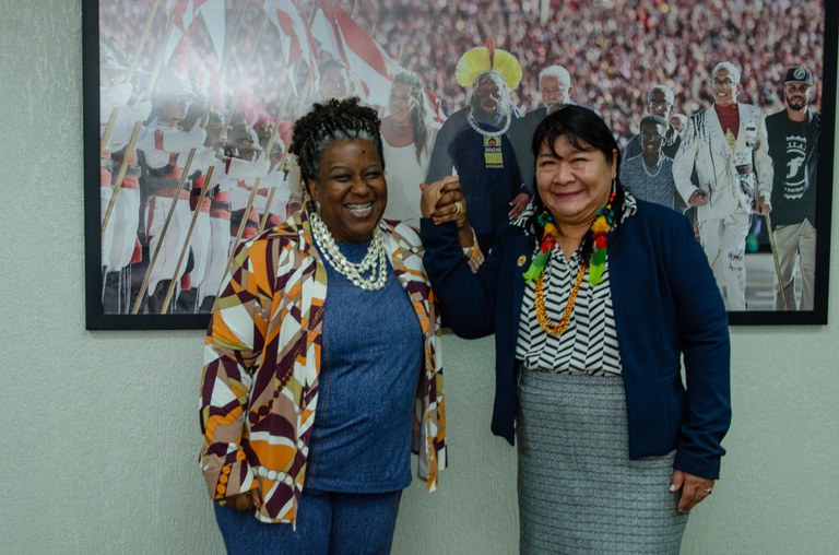 Audiencia no MDHC @ Mário Vilela_FUNAI-19.jpg