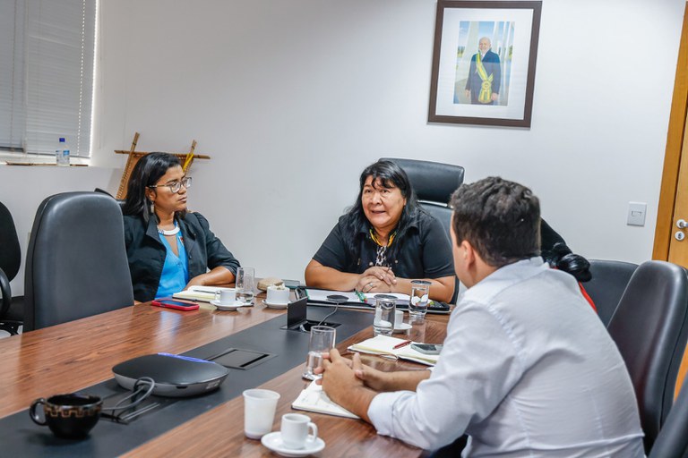 30.10.2025 - Vídeo Conferência- Convênio MNPI e Museu Emilio Goeldi @ Mayra Wapichana_ FUNAI (4).jpg