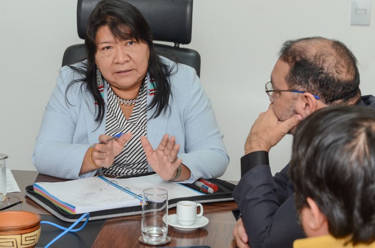 Reunião Presidente do TRE - RR  @ Mário Vilela_FUNAI-10.jpg