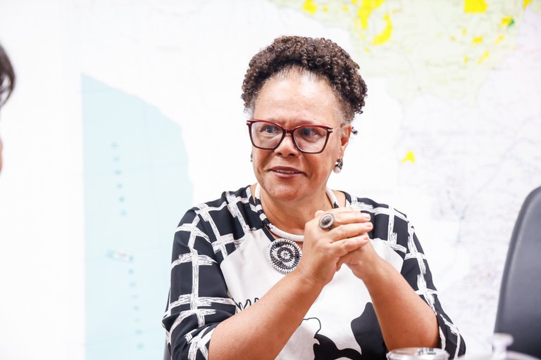 Reunião da DPT com reitora do UFSB @ Mayra Wapichana_FUNAI-4.jpg