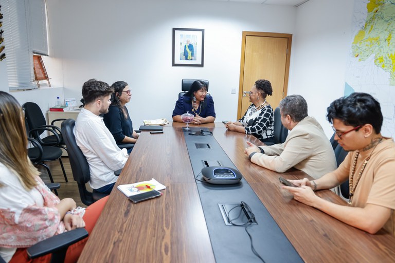 Reunião da DPT com reitora do UFSB @ Mayra Wapichana_FUNAI.jpg