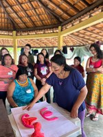 Funai e Unifesp realizam oficina para fortalecer rede de atenção à saúde das mulheres Yanomami e Ye'kwana