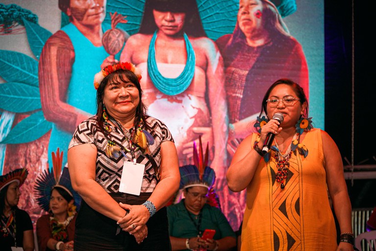 04.08.25 - IV Marcha das Mulheres Indígenas em Brasília - Foto Rony Eloy_MPI  (5).jpeg