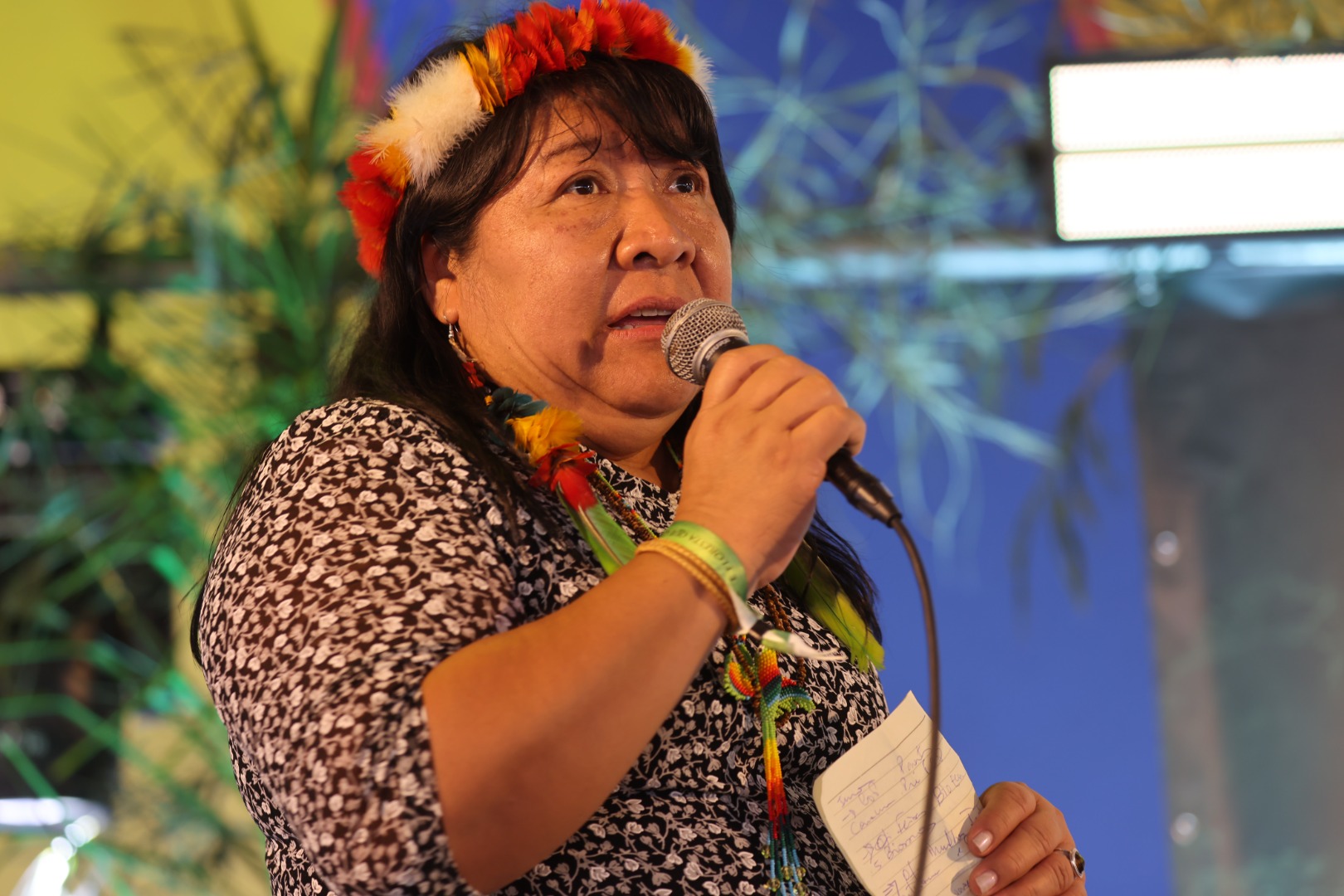 Mesa Joenia Wapichana 1.JPG