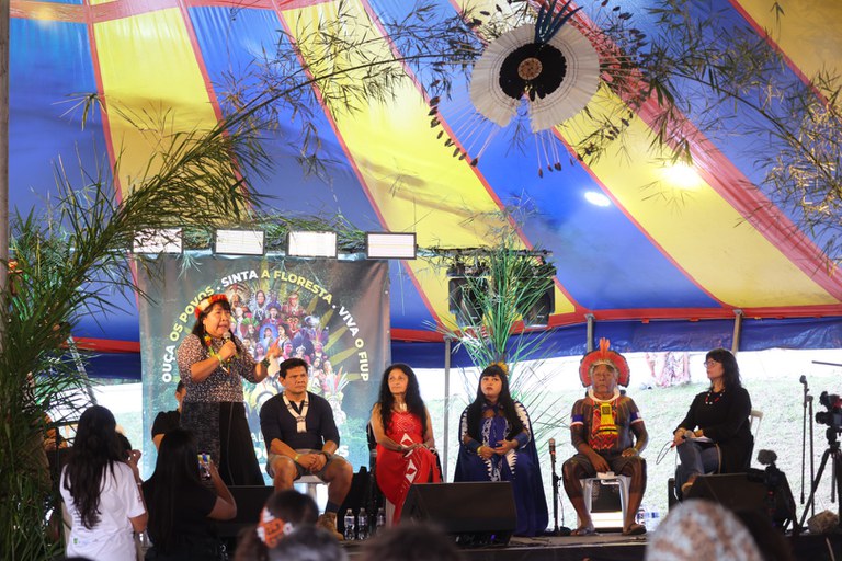 Mesa Joenia Wapichana 2.JPG