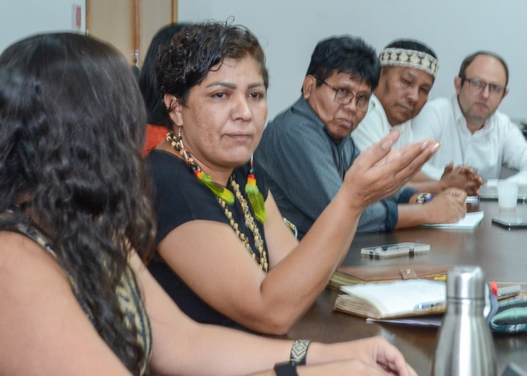 08.10.2025 - CNPI Camara Temática 1 @ Mário Vilela_FUNAI_-3.jpg