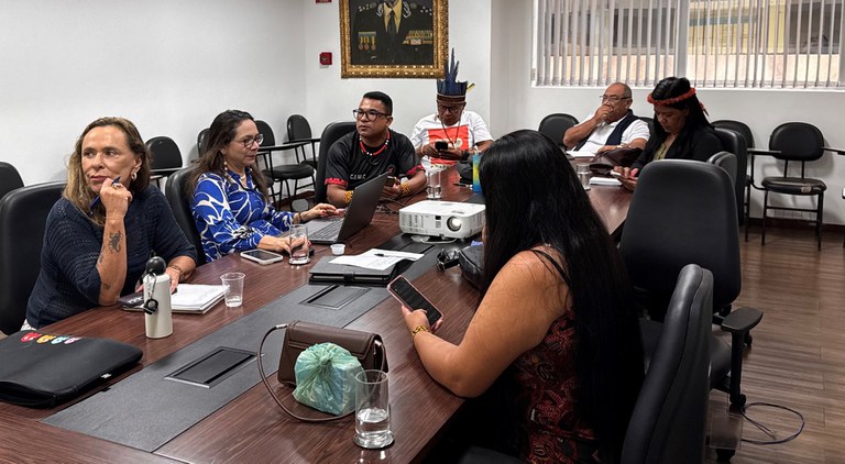 07.05.2025 - Reunião das Câmaras Temáticas do CNPI na Funai - Foto Divulgação (5).jpg