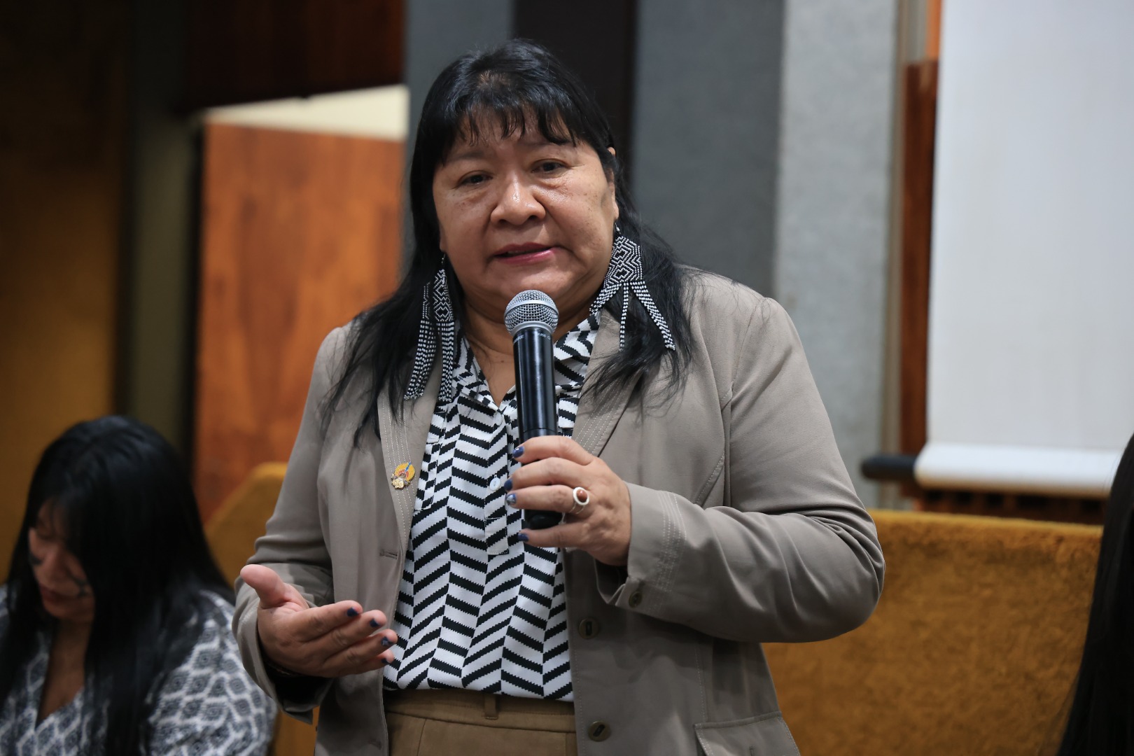 28.05.25 - Manual Técnico para Atendimento de Indígenas Expostos ao Mercúrio - Foto Mayra Wapichana (2).JPG