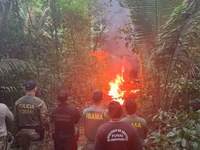 Funai, PF e Ibama realizam operação de combate à grilagem na Terra Indígena Igarapé Lage, em Rondônia