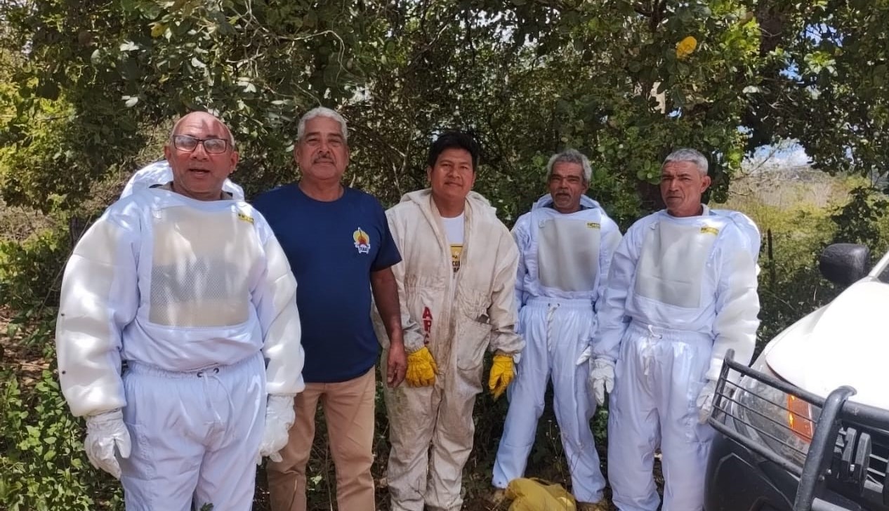 Pankararé 1.jpeg