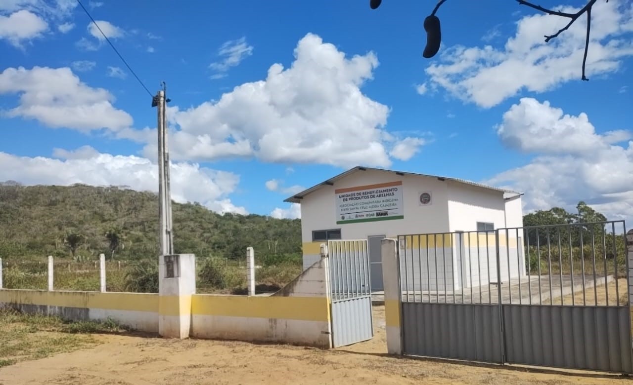 Pankararé 2.jpeg