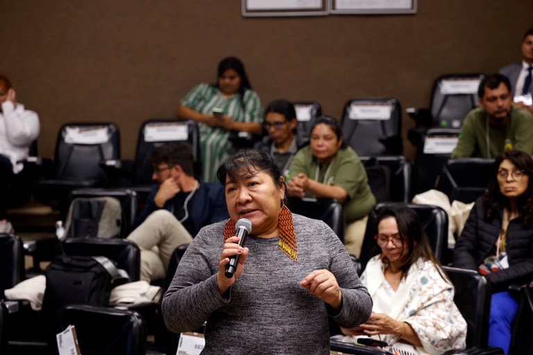 Encontro das CRs @ Mayra Wapichana_FUNAI (26).jpg
