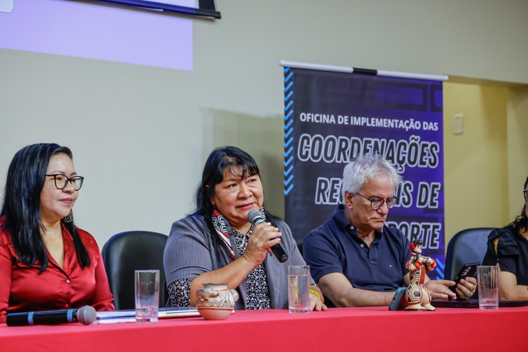 16.10.2025 - Oficina de implantação das CRS @ Mayra Wapichana_FUNAI-3.jpg