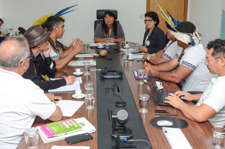 Reunião com Dep Leni de Assis, com Organização Indígena Unica @ Mário Vilela_FUNAI (26).jpg