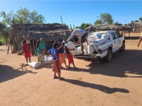 Funai reforça a segurança alimentar do povo Xavante com a colheita de 118 toneladas de arroz em Mato Grosso