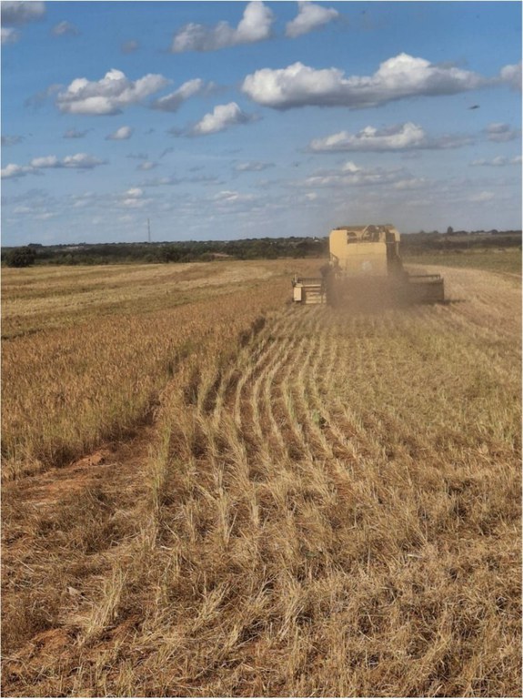 WhatsApp Image 2025-06-18 at 10.58.33 (1).jpeg