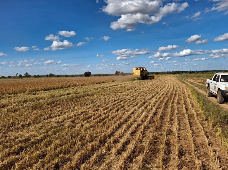 WhatsApp Image 2025-06-18 at 10.58.33 (2).jpeg