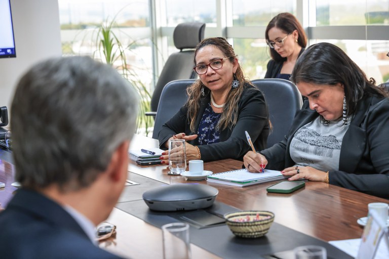 Conflito TI Pitanga - PR @ Mário Vilela_FUNAI-12.jpg