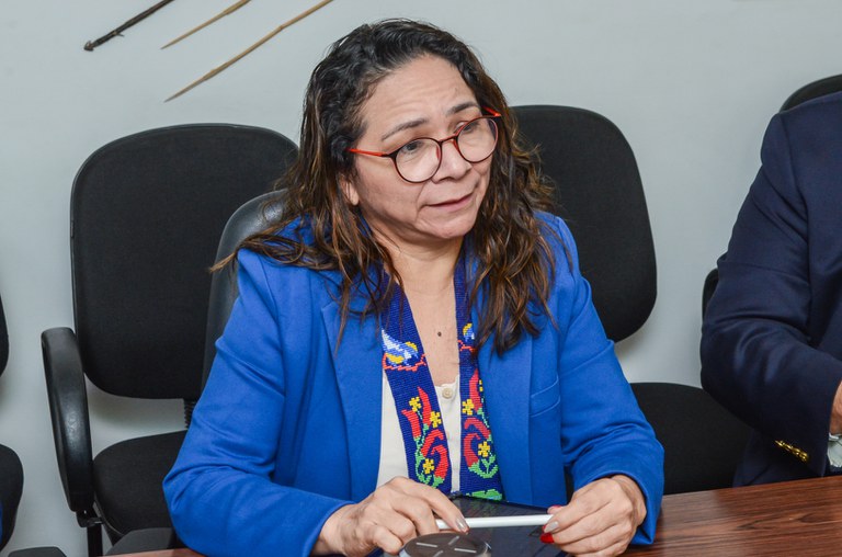 25.07.2025 -Reunião com a FAO sobre Biocentrica indigena @ Mario Vilela_FUNAI (3).jpg