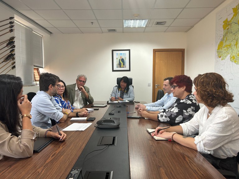 08.09.2025 - Reunião com a TNC Brasil - Foto Divulgação Funai (15).JPG