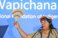 Manejo florestal sem povos indígenas é inviável, destaca Funai em painel da Cúpula Mundial do Clima