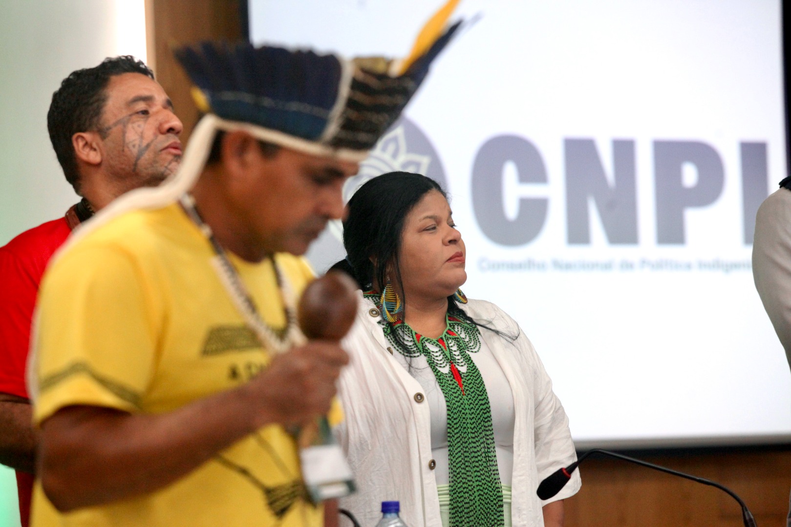 cnpi104.jpg