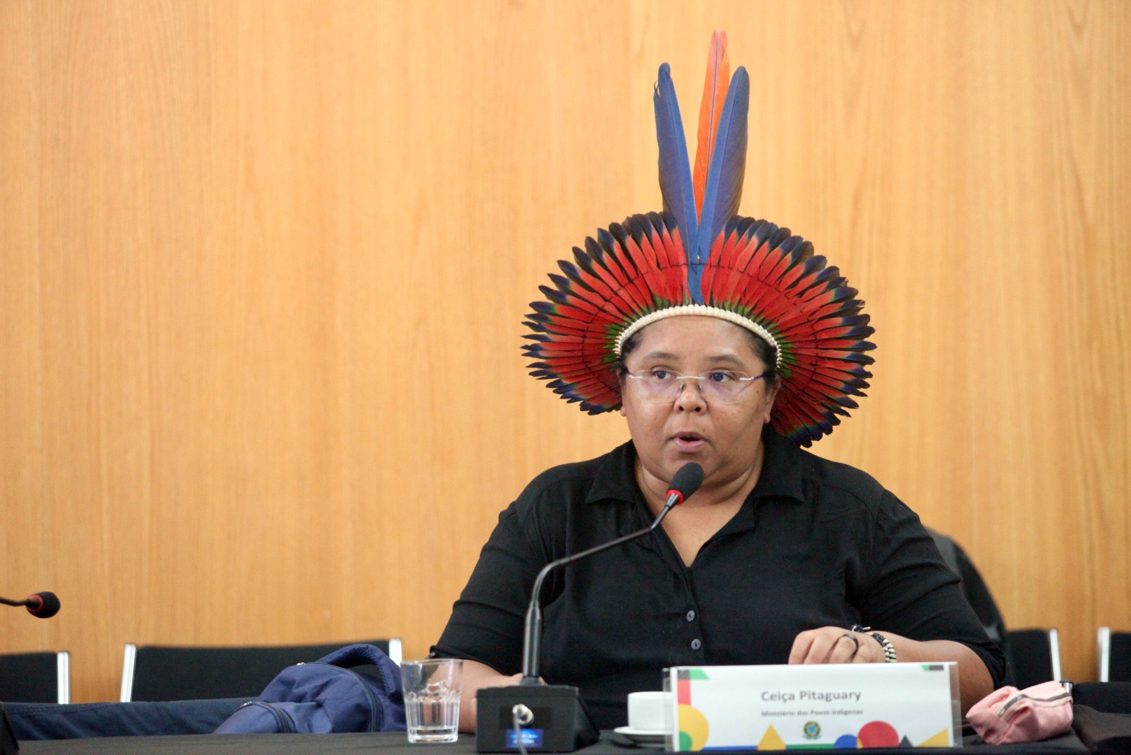 cnpi140.jpg