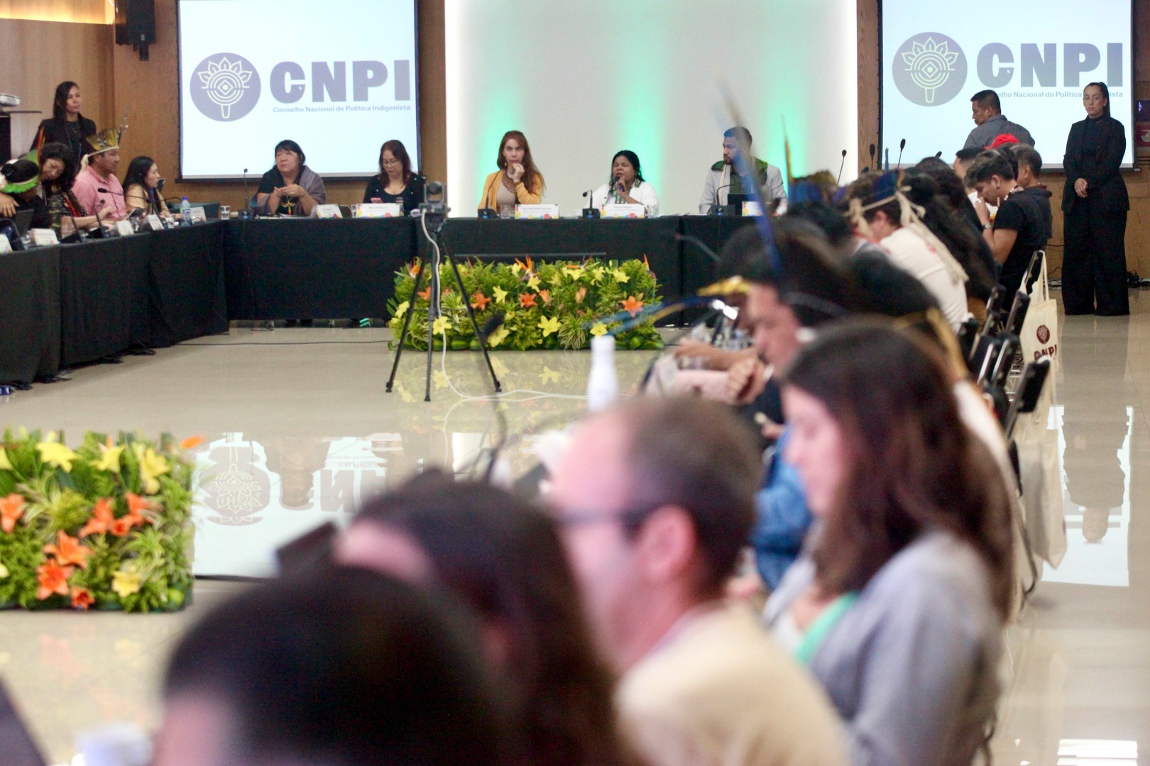 cnpi151.jpg