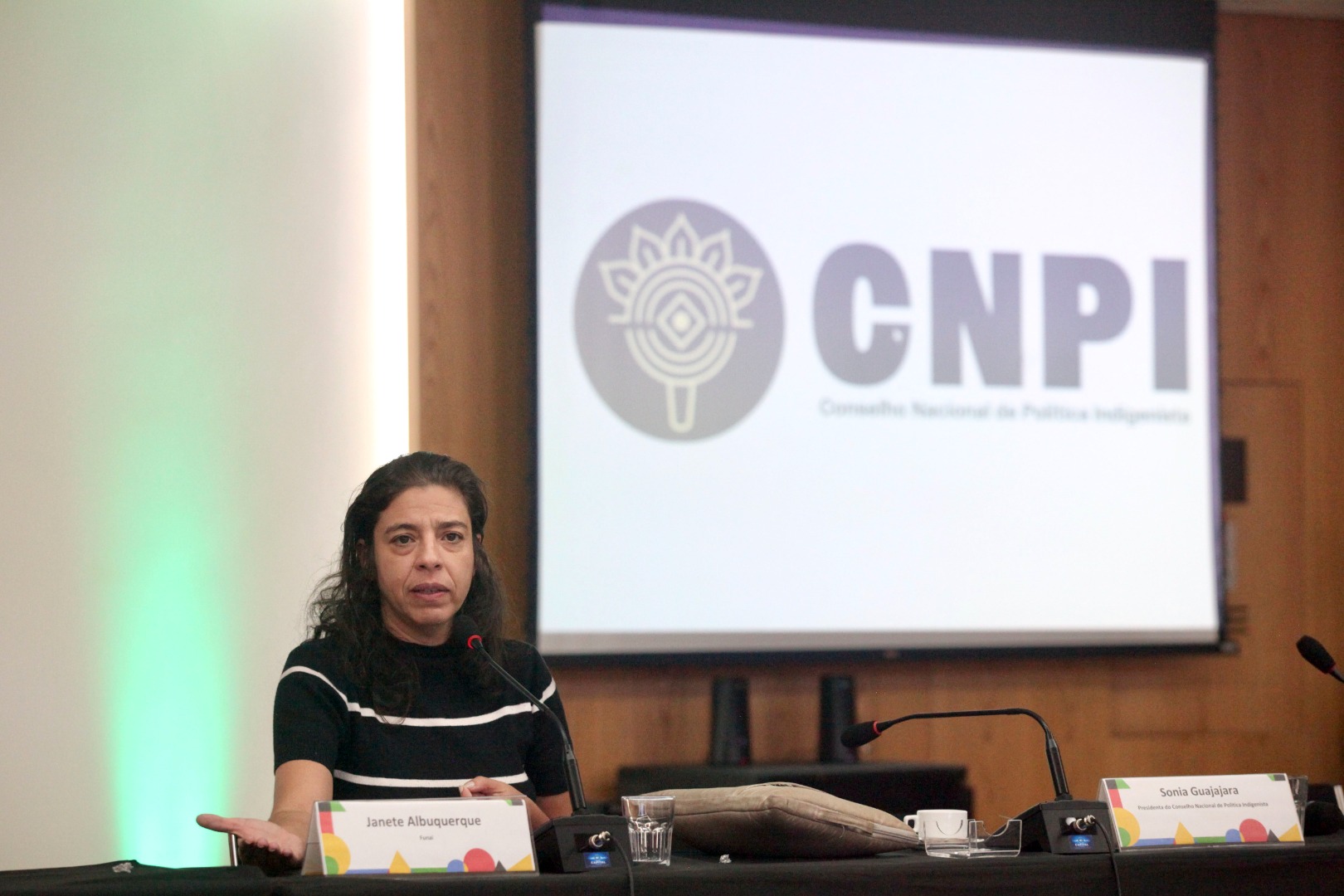 cnpi154.jpg