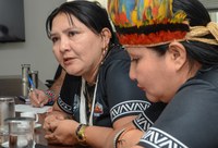 Mulheres do povo de recente contato Juma vêm a Brasília apresentar demandas de seu território