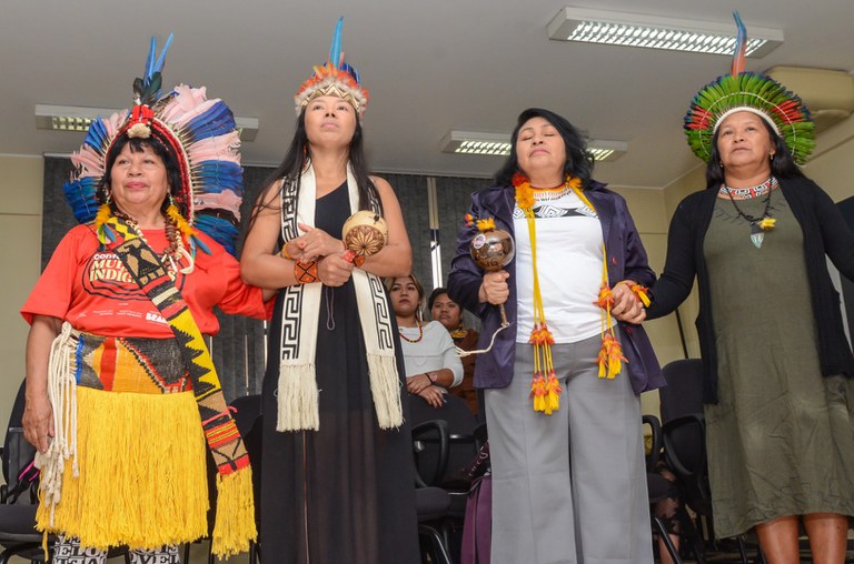 Projeto BRA Bioma Mulheres Indígenas @ Mário Vilela_FUNAI-10.jpg