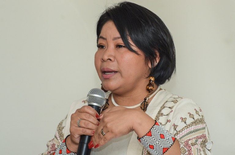 Projeto BRA Bioma Mulheres Indígenas @ Mário Vilela_FUNAI-21.jpg