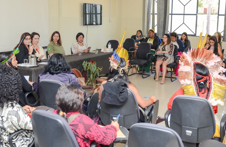 Projeto BRA Bioma Mulheres Indígenas @ Mário Vilela_FUNAI-30.jpg