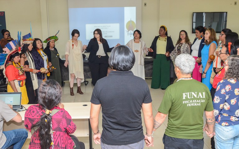 Projeto BRA Bioma Mulheres Indígenas @ Mário Vilela_FUNAI-5.jpg