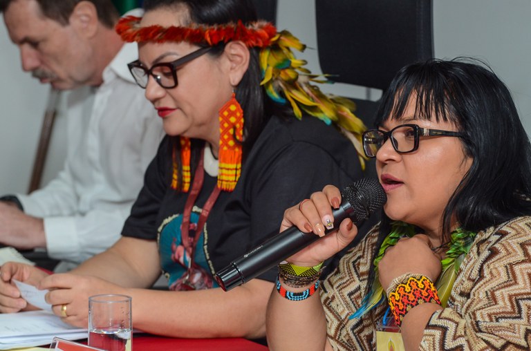 23ª Reunião Ordinária do Comitê Gestor da PNGATI @ Mário Vilela_FUNAI-16.jpg