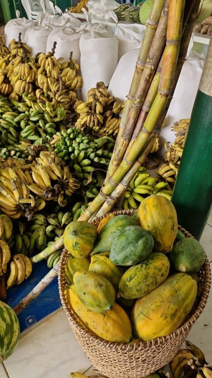 Foto Divulgação Funai (3).jpeg